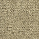Ковровая плитка Parma 11 (RusCarpetTiles (RCT))